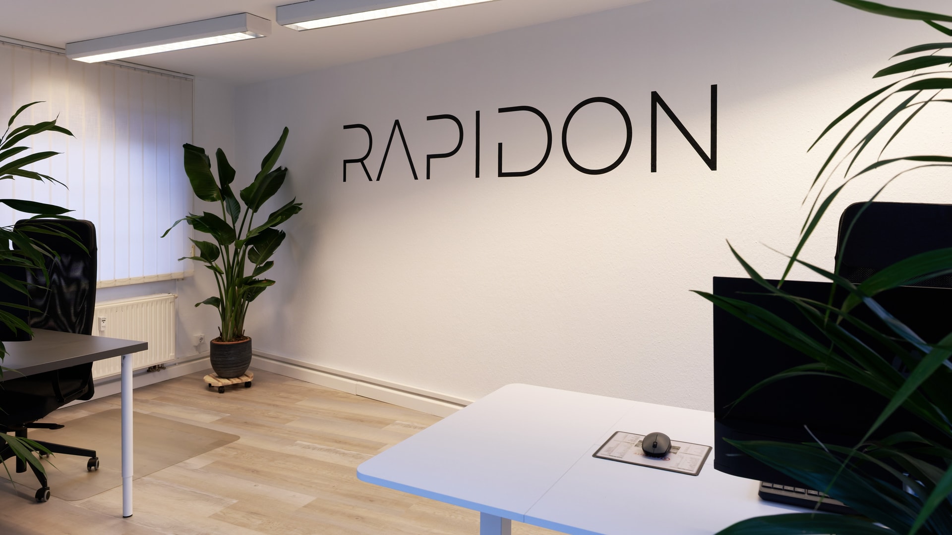 Rapidon special machine construction smart engineering ambitious team dresden automation solutions.