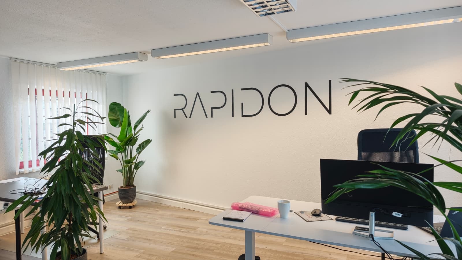 Rapidon special machine construction smart engineering ambitious team dresden automation solutions.